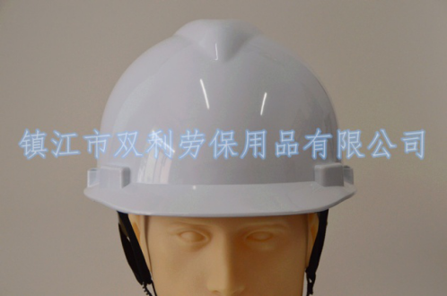 SL-101（ABS）